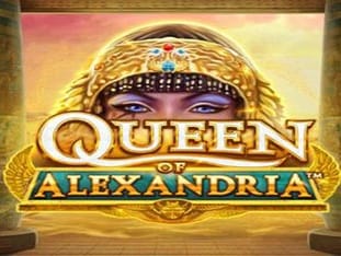 Queen Of Alexandria™ icon